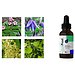 EcoProst: комплекс для мужского здоровья EcoProst: комплекс для мужского здоровья