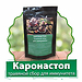 Karonastop: натуральный чайный напиток