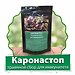 Karonastop: натуральный чайный напиток