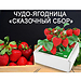 Сказочный Сбор: клубника в Твери Сказочный Сбор: клубника в Твери