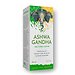 Ashwagandha: растительный комплекс для силы Ashwagandha: растительный комплекс для силы
