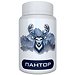 Pantor: средство для потенции